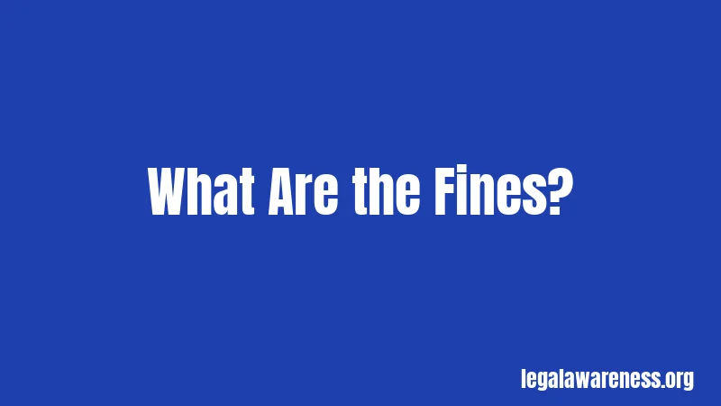 What Are the Fines?