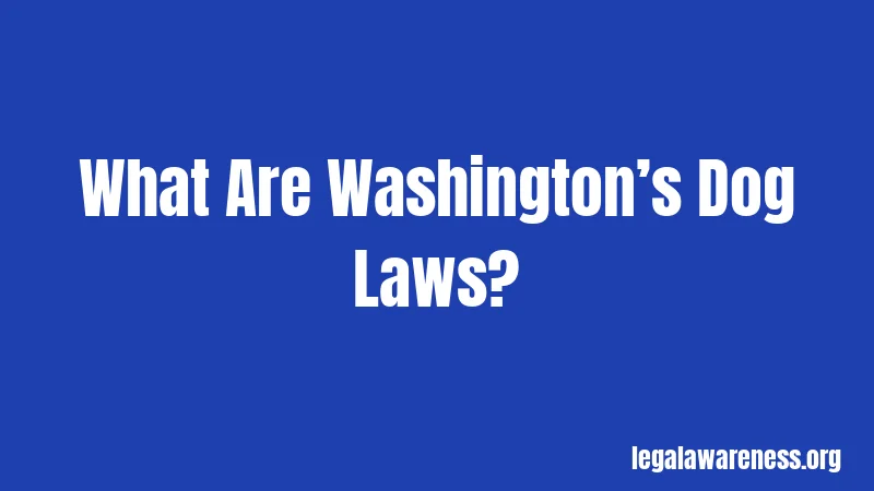 What Are Washington’s Dog Laws?