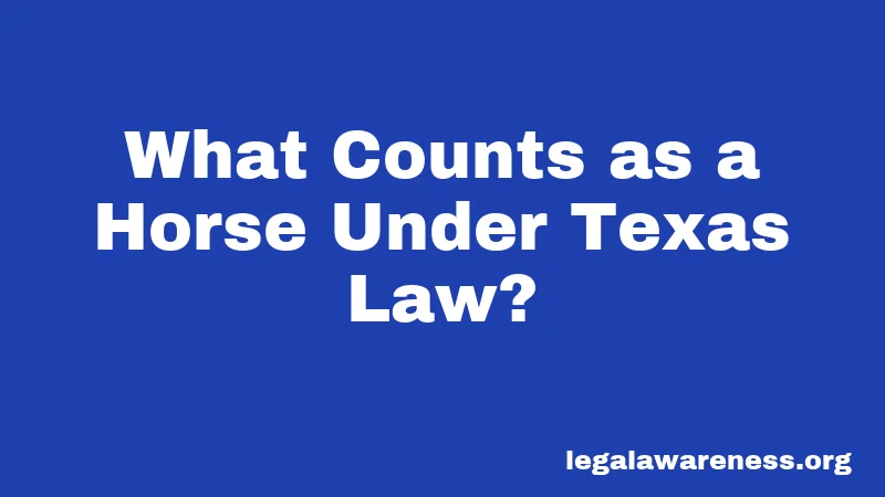 What Counts as a Horse Under Texas Law?