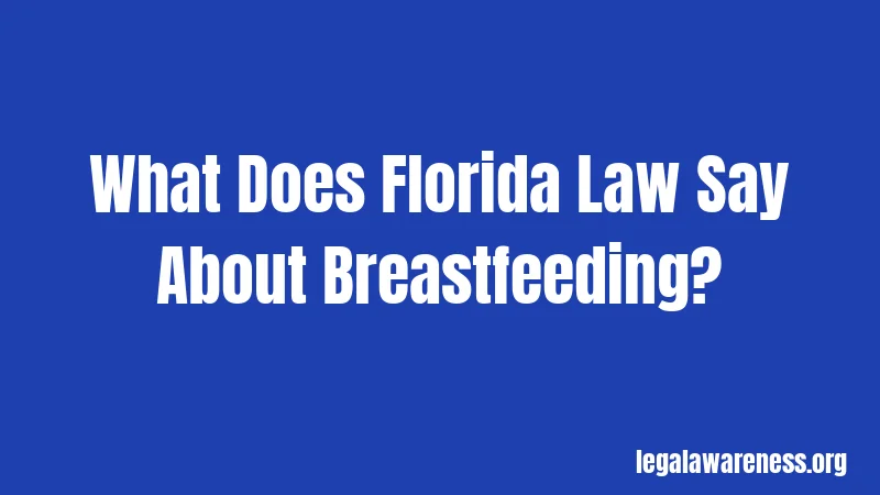 What Does Florida Law Say About Breastfeeding?