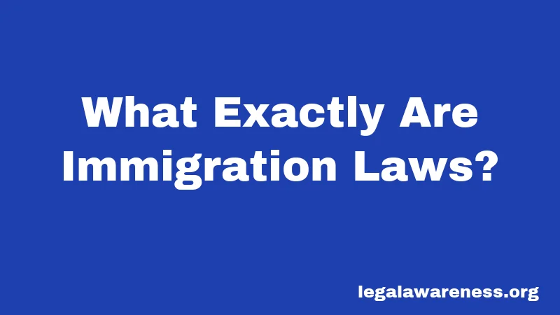 What Exactly Are Immigration Laws?