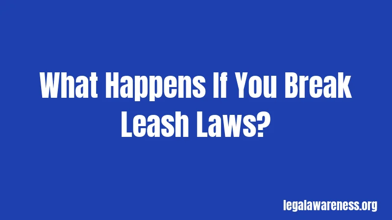 What Happens If You Break Leash Laws?