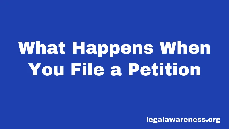 What Happens When You File a Petition