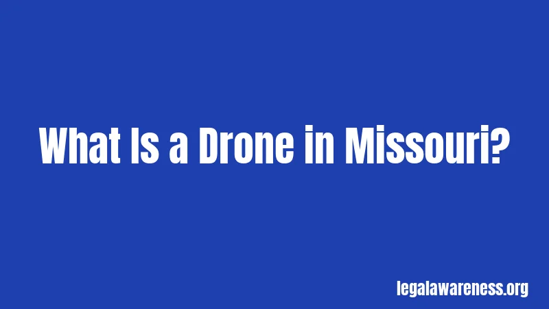 What Is a Drone in Missouri?