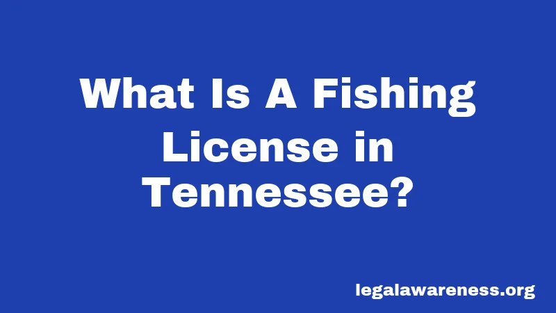 What Is A Fishing License in Tennessee?