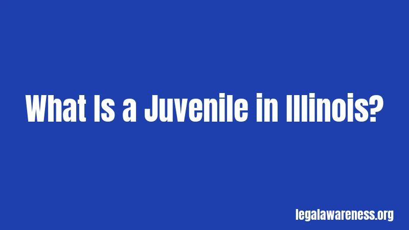 What Is a Juvenile in Illinois?