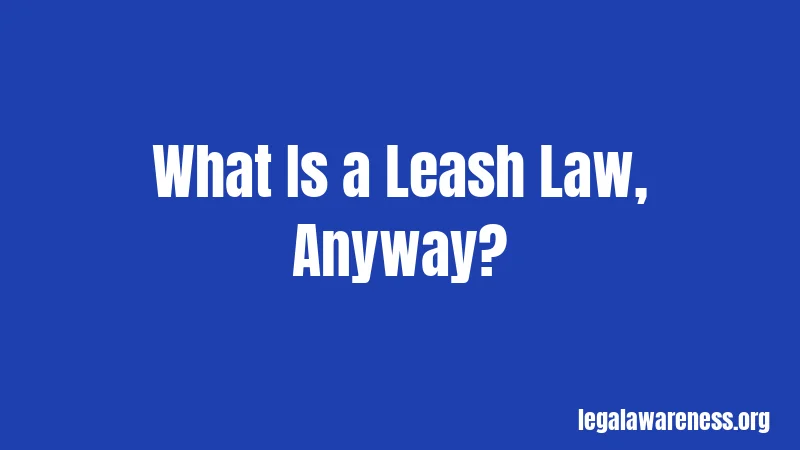 What Is a Leash Law, Anyway?