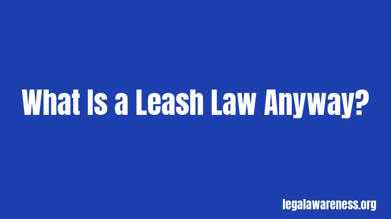 What Is a Leash Law Anyway?