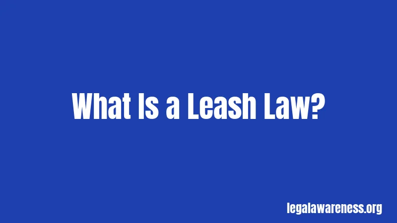 What Is a Leash Law?