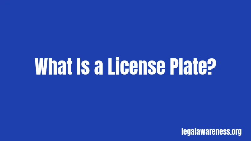 What Is a License Plate?