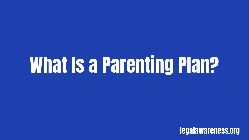 What Is a Parenting Plan?