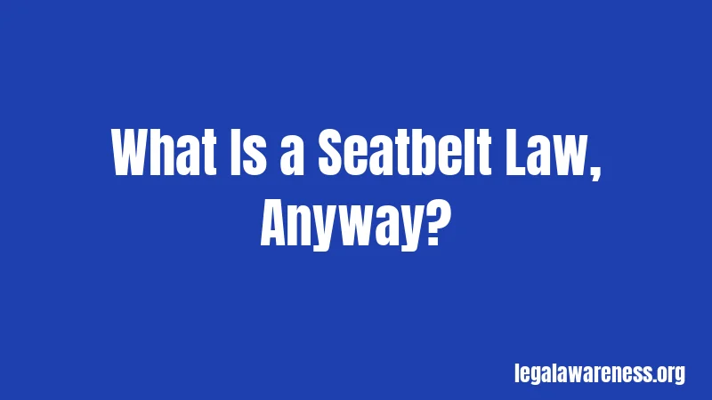What Is a Seatbelt Law, Anyway?
