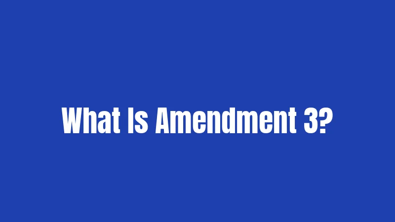 What Is Amendment 3?