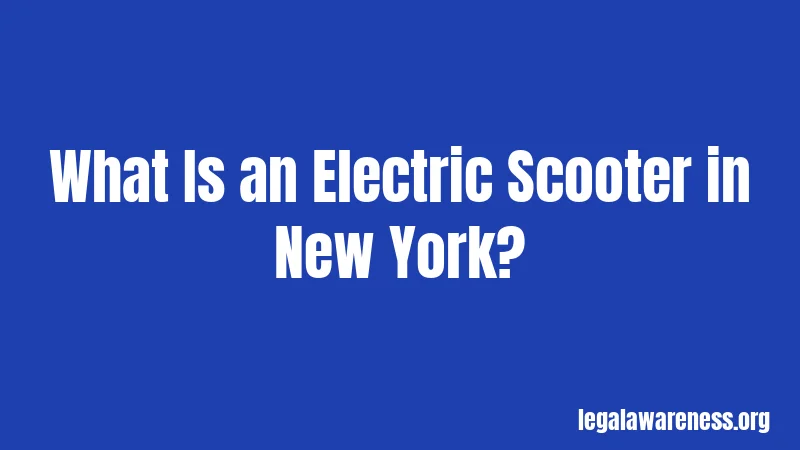What Is an Electric Scooter in New York?