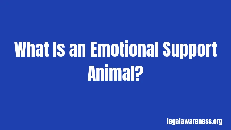 What Is an Emotional Support Animal?