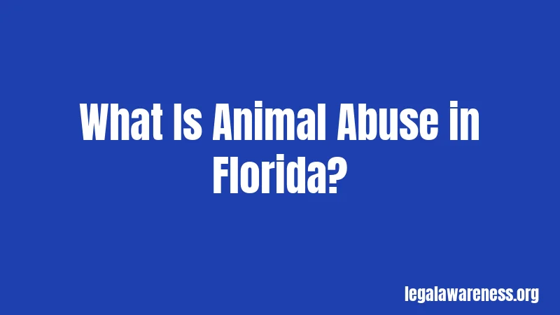 What Is Animal Abuse in Florida?