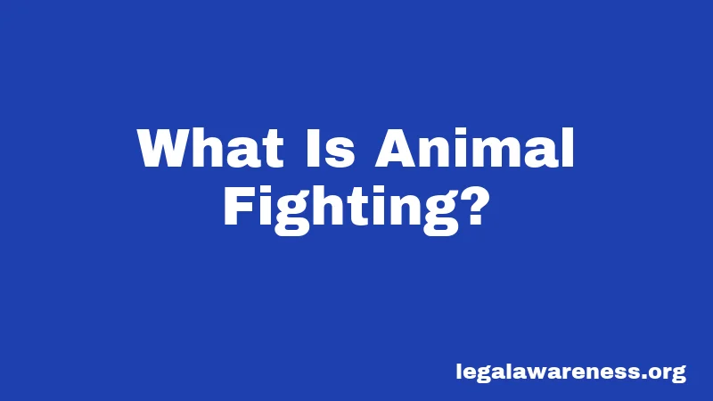 What Is Animal Fighting?