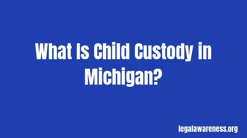 What Is Child Custody in Michigan?