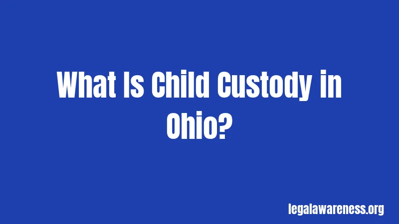 What Is Child Custody in Ohio?