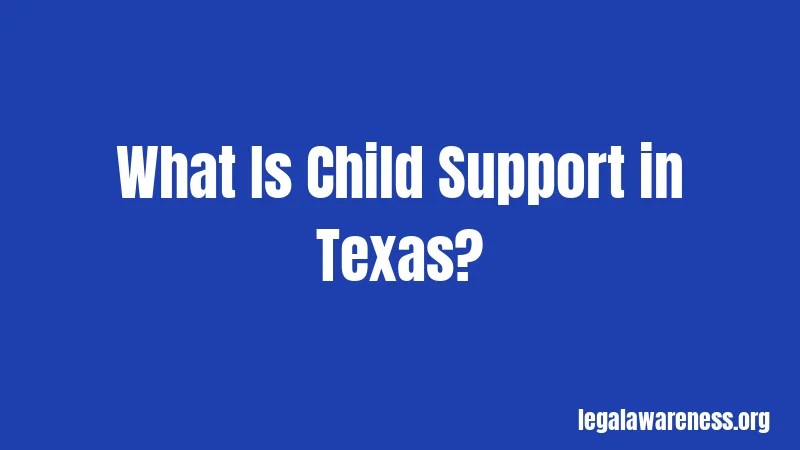 What Is Child Support in Texas?