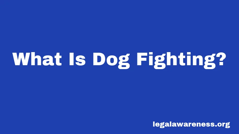 What Is Dog Fighting?