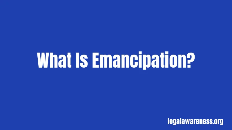 Emancipation Laws in Illinois (2026): Rights, Requirements, and Process 1 What Is Emancipation?