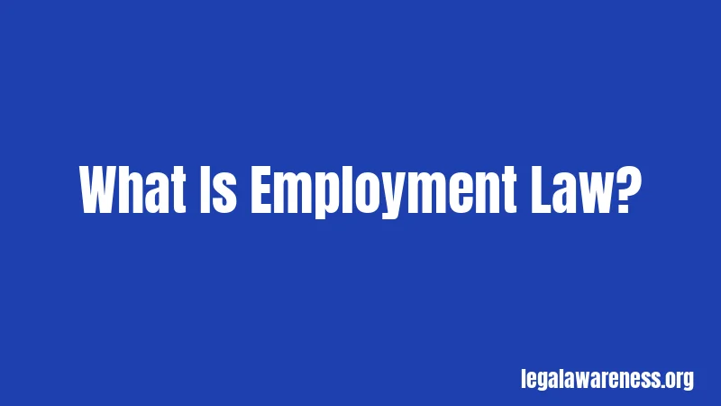 What Is Employment Law?
