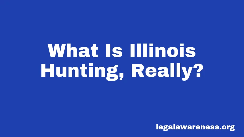 What Is Illinois Hunting, Really?