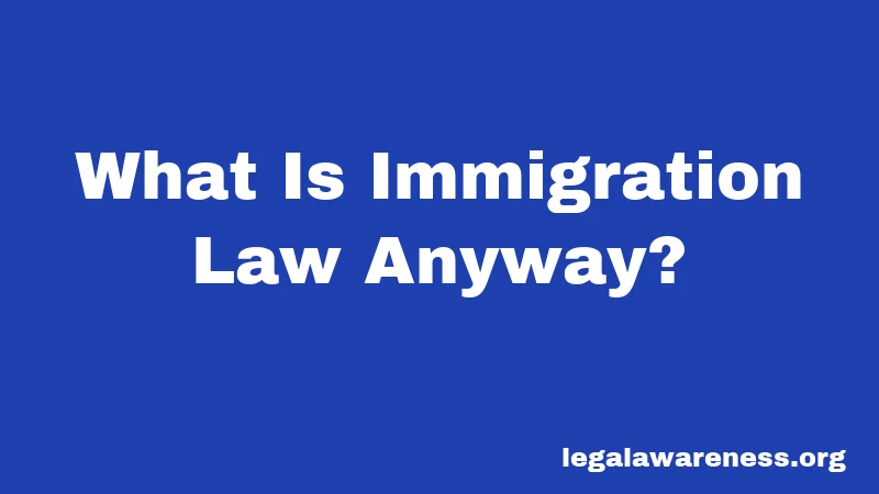 What Is Immigration Law Anyway?