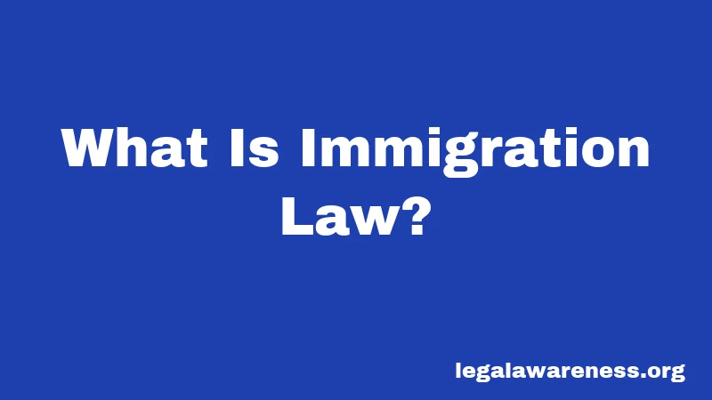 What Is Immigration Law?