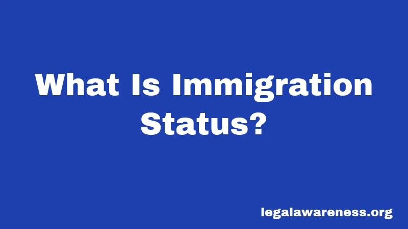 What Is Immigration Status?