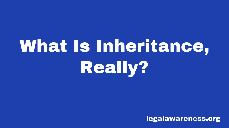 What Is Inheritance, Really?