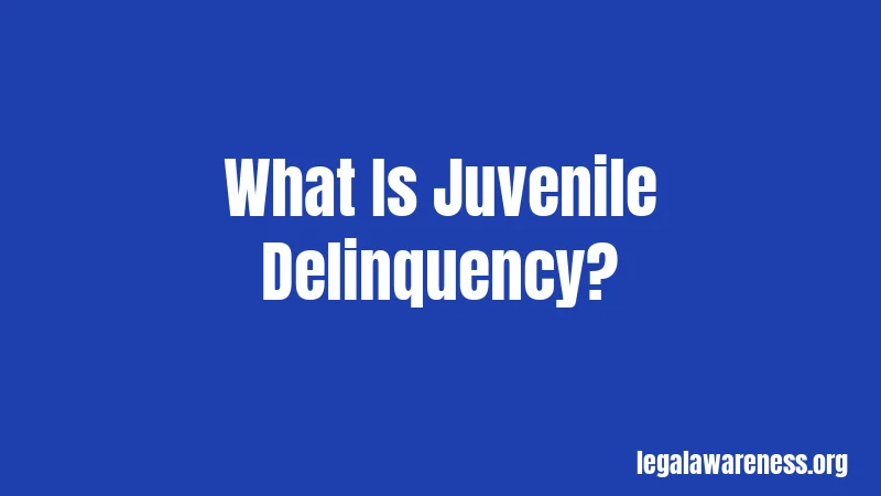 What Is Juvenile Delinquency?