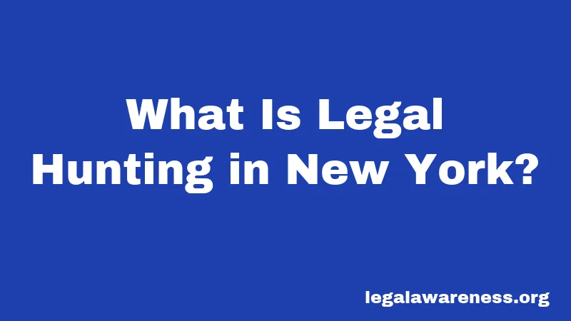What Is Legal Hunting in New York?
