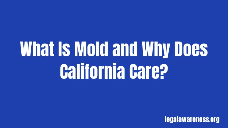 What Is Mold and Why Does California Care?