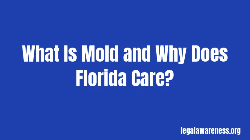What Is Mold and Why Does Florida Care?