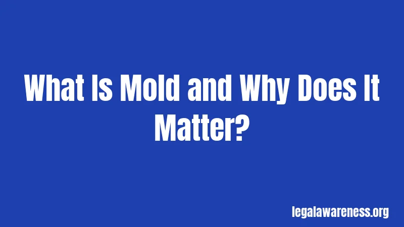 What Is Mold and Why Does It Matter?