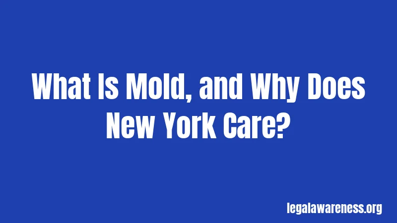 What Is Mold, and Why Does New York Care?
