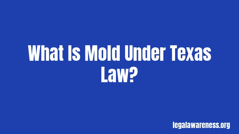 What Is Mold Under Texas Law?