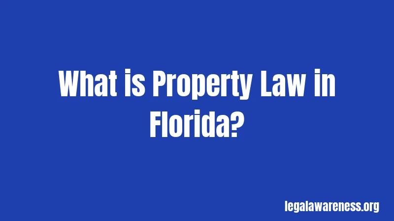 What is Property Law in Florida?
