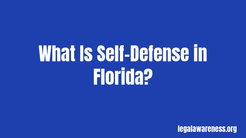 What Is Self-Defense in Florida?