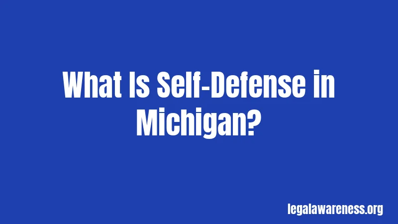 What Is Self-Defense in Michigan?