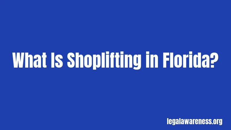 What Is Shoplifting in Florida?