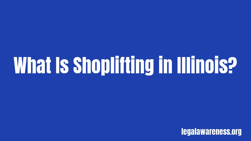 What Is Shoplifting in Illinois?