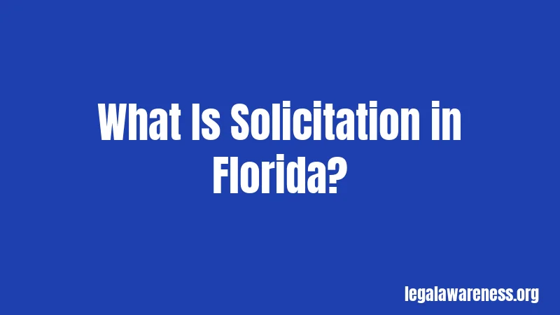 What Is Solicitation in Florida?