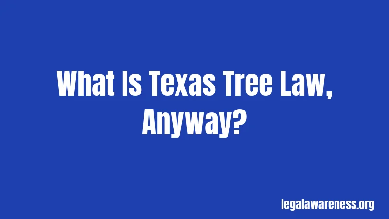 What Is Texas Tree Law, Anyway?
