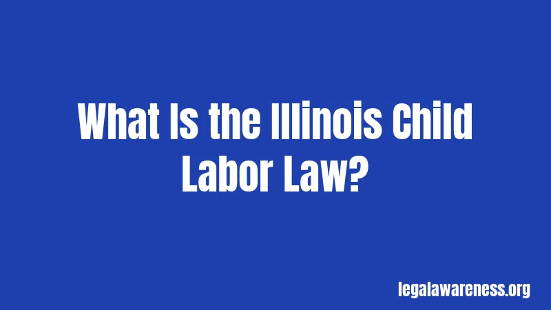 What Is the Illinois Child Labor Law?