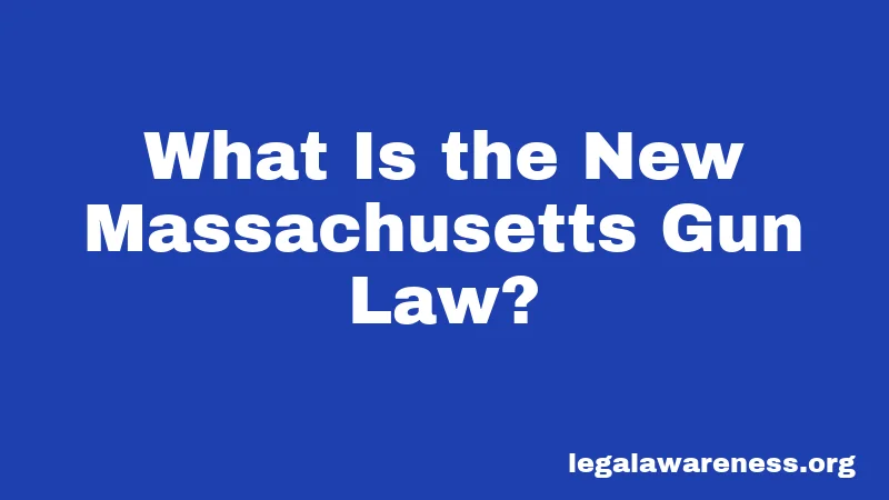 What Is the New Massachusetts Gun Law?