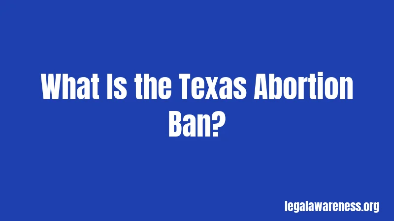 What Is the Texas Abortion Ban?