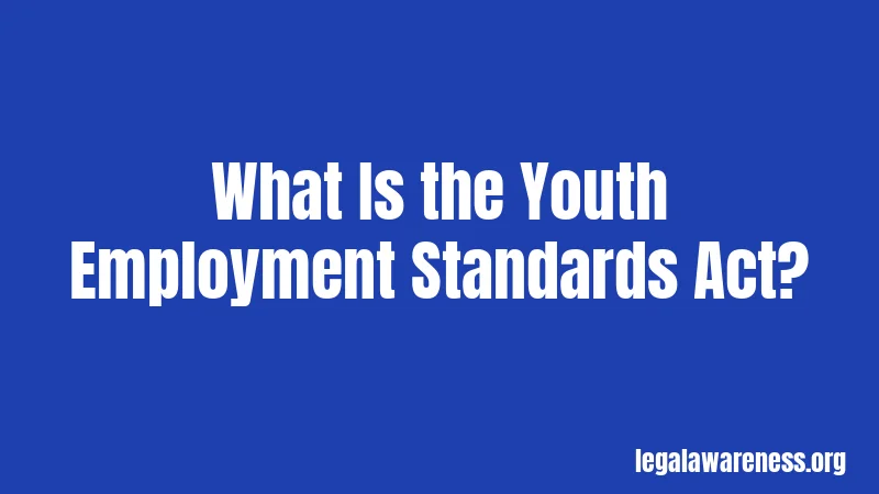 What Is the Youth Employment Standards Act?